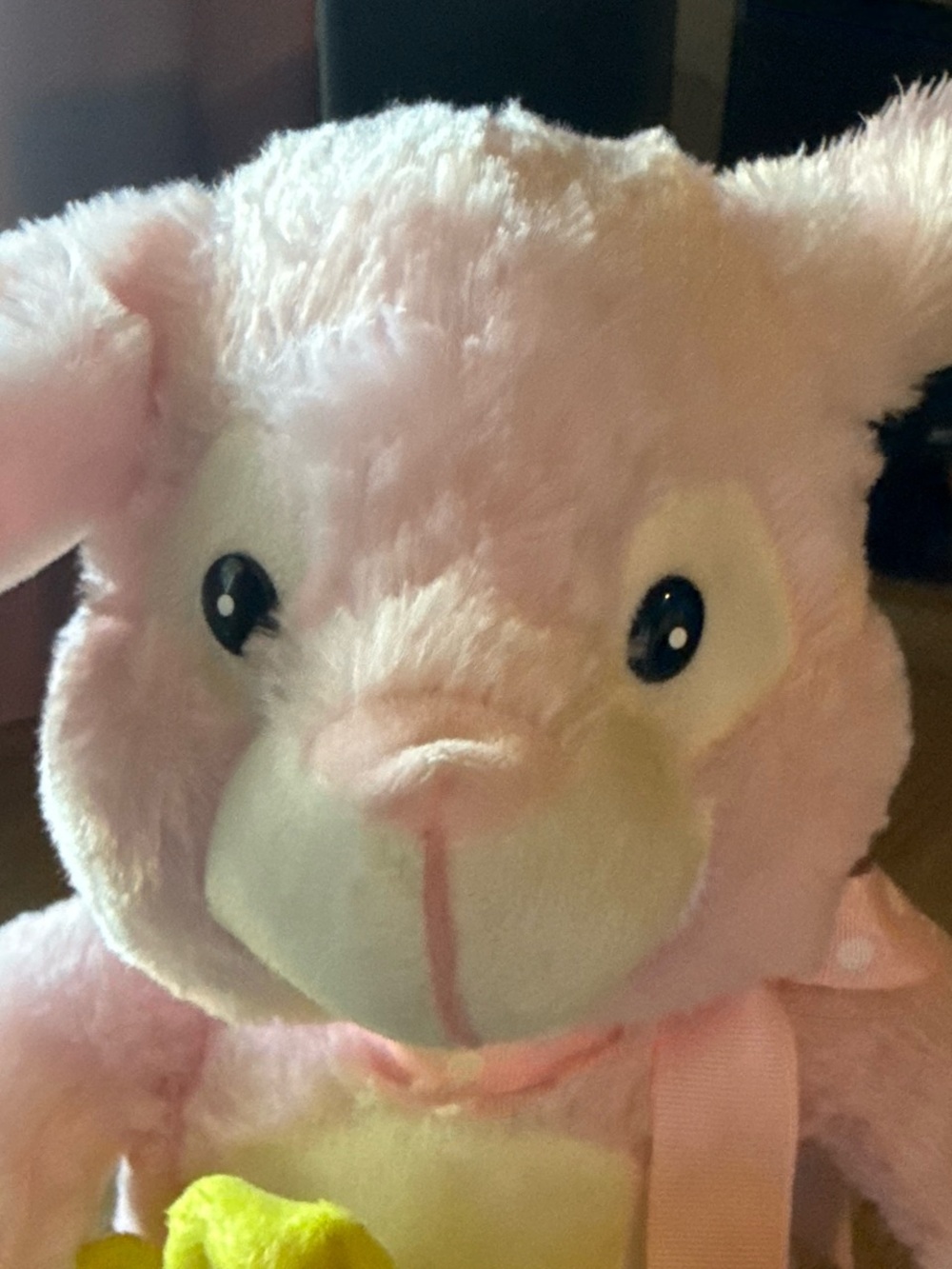 Plush Pink Bunny with Yellow Flower Pacifier Holder - Kids Accessories - Picture 4 of 5